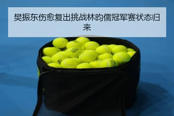 fan-zhen-dong-shang-yu-fu-chu-tiao-zhan-lin-yun-ru-guan-jun-sai-zhuang-tai-gui-lai-3-249.jpg