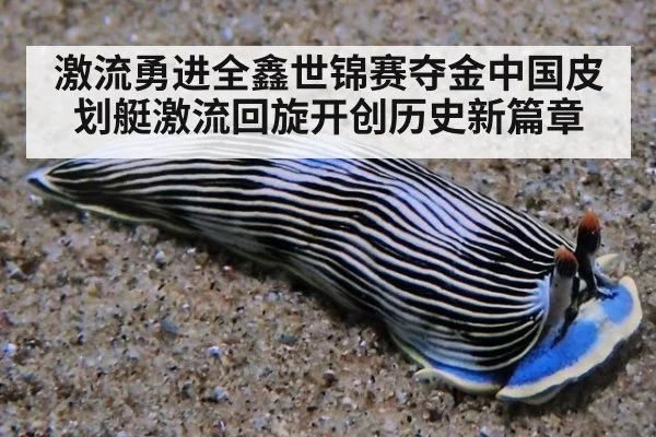 激流勇进全鑫世锦赛夺金中国皮划艇激流回旋开创历史新篇章